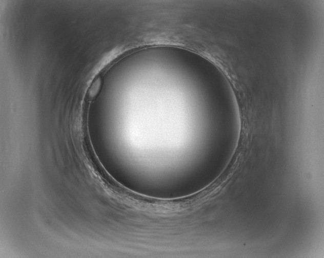 X0000080190008200612081439
