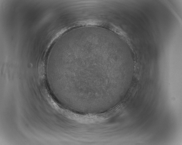 X0000080190012200612081439