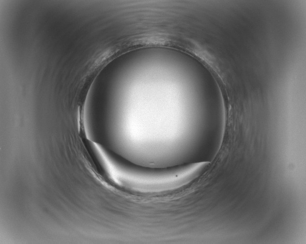 X0000080190013200612081439