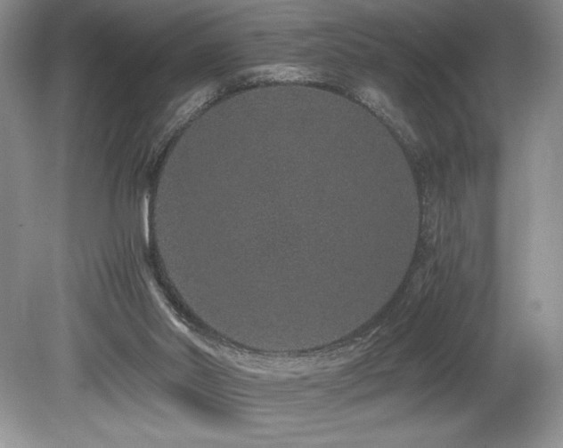 X0000080190014200612081439