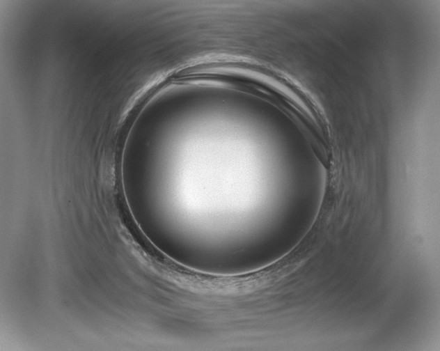 X0000080190015200612081439