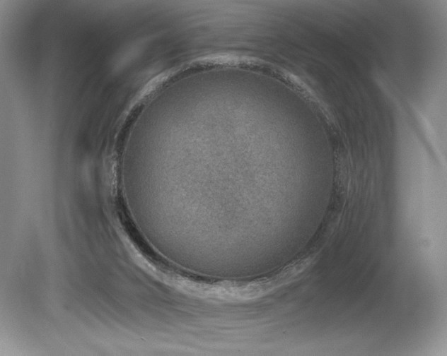 X0000080190016200612081439