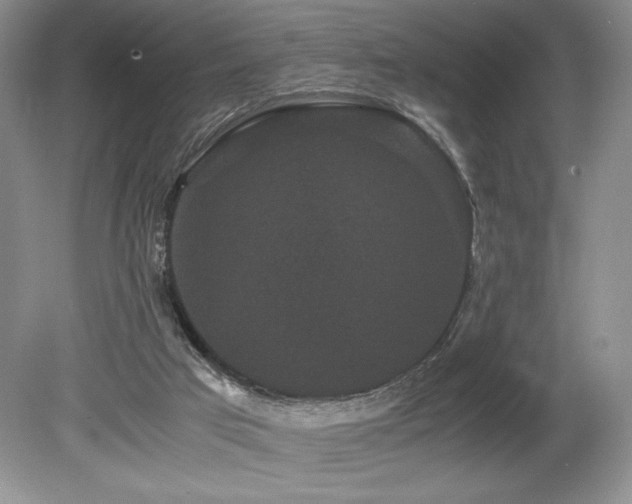 X0000080190017200612081439