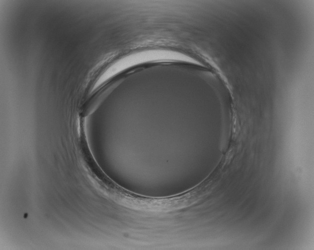 X0000080190019200612081439