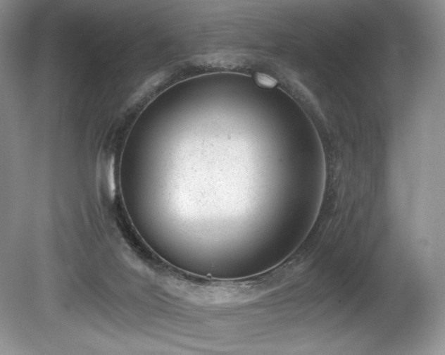 X0000080190020200612081439
