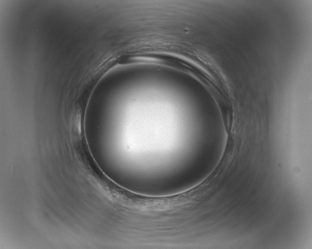X0000080190021200612081439