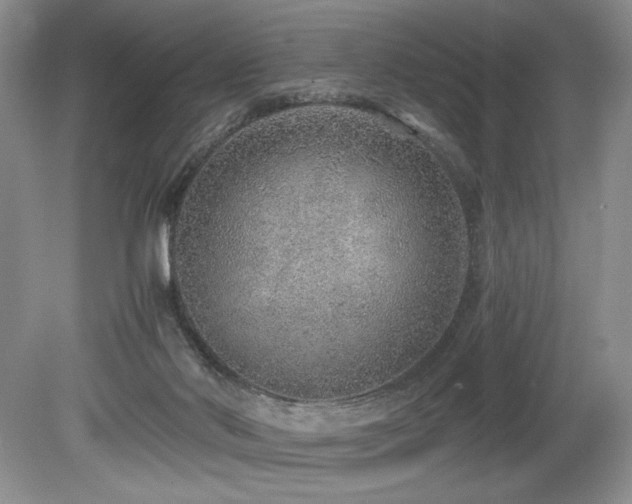 X0000080190022200612081439