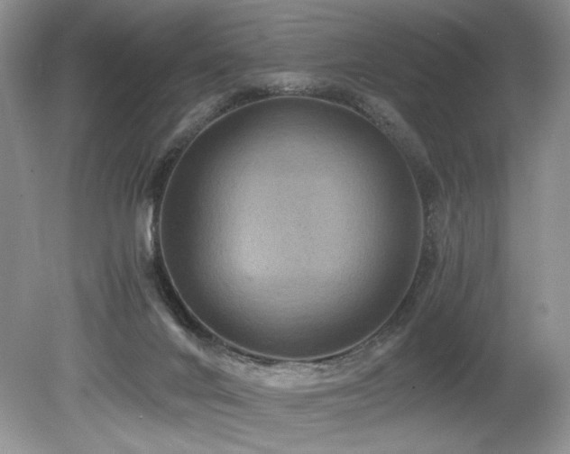 X0000080190024200612081439
