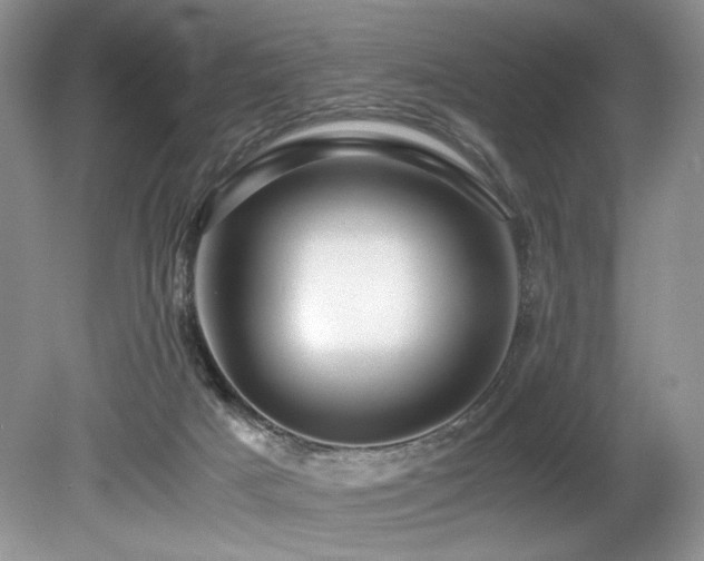 X0000080190025200612081439