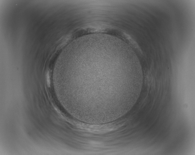 X0000080190026200612081439