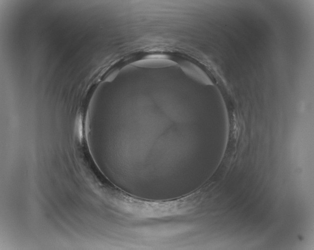 X0000080190027200612081439