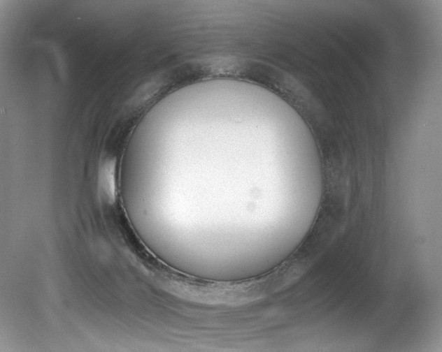 X0000080190028200612081439
