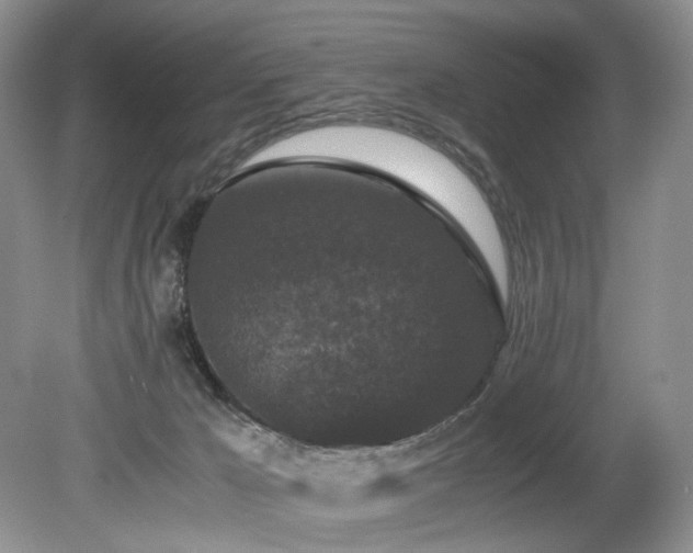X0000080190029200612081439