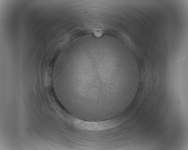 X0000080190030200612081439
