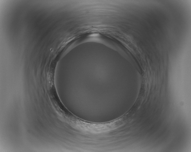 X0000080190031200612081439