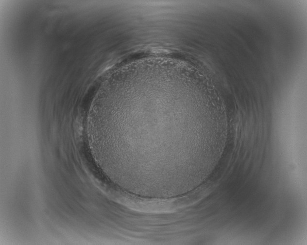 X0000080190032200612081439