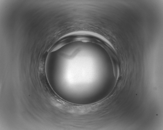 X0000080190033200612081439