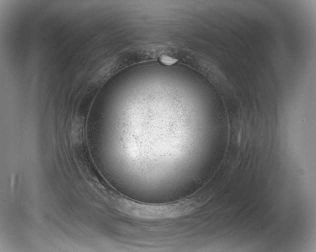 X0000080190034200612081439