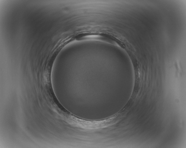X0000080190035200612081439