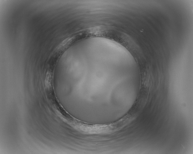 X0000080190036200612081439