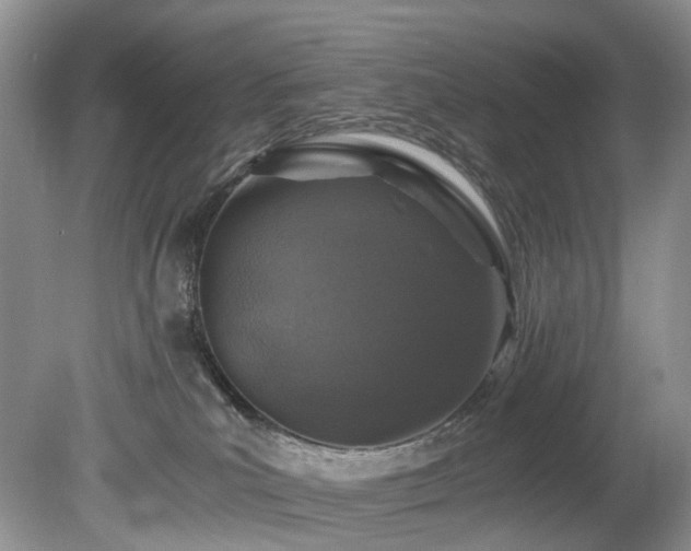 X0000080190039200612081439