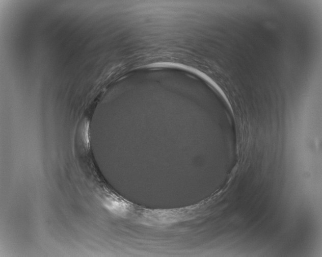 X0000080190041200612081439
