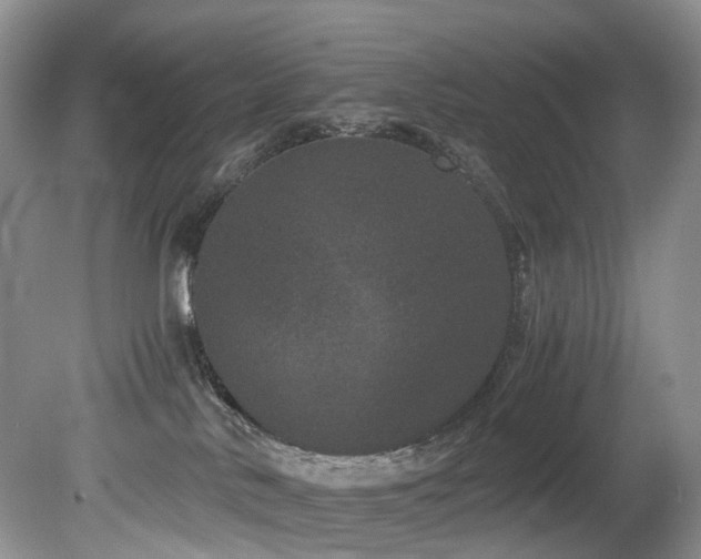 X0000080190042200612081439