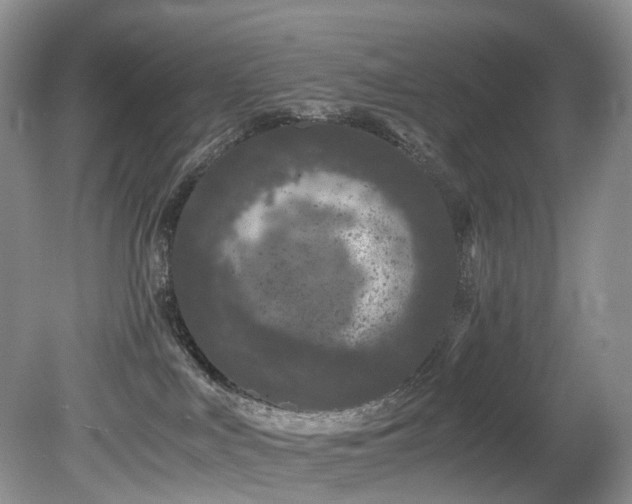 X0000080190043200612081439