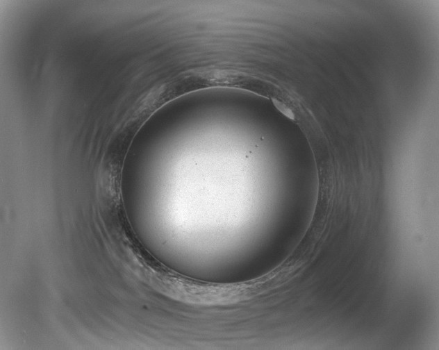 X0000080190044200612081439