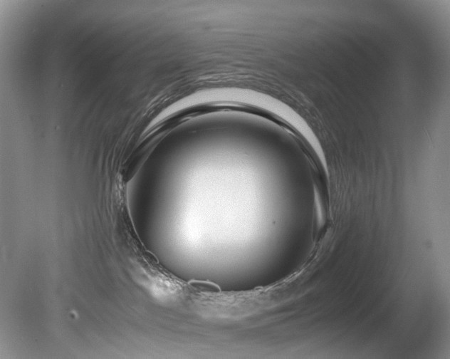X0000080190045200612081439
