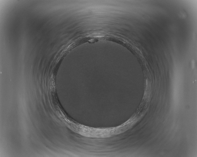 X0000080190048200612081439