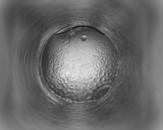 X0000080190049200612081438
