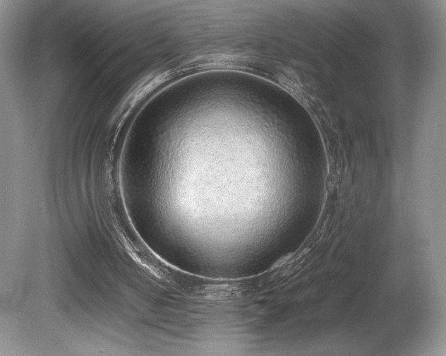 X0000080190050200612081438