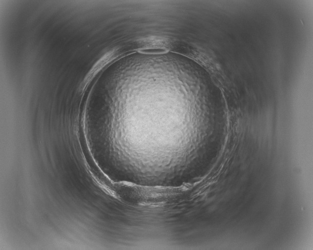 X0000080190051200612081438