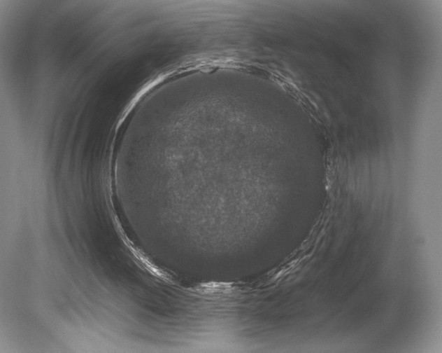 X0000080190052200612081438
