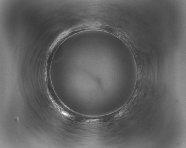 X0000080190054200612081438