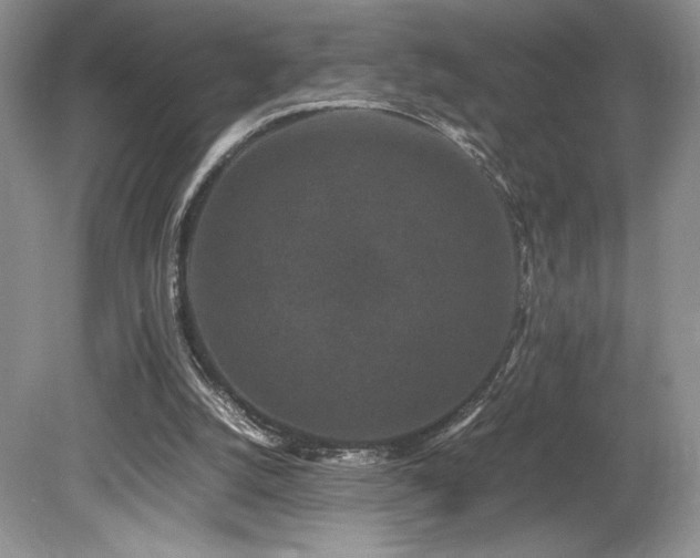 X0000080190056200612081438