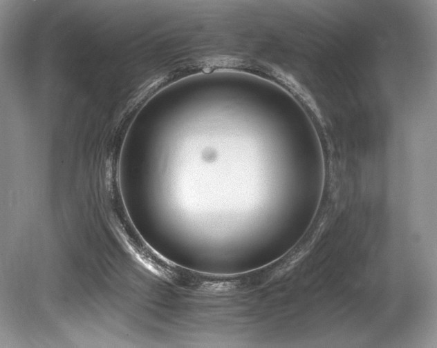 X0000080190057200612081438