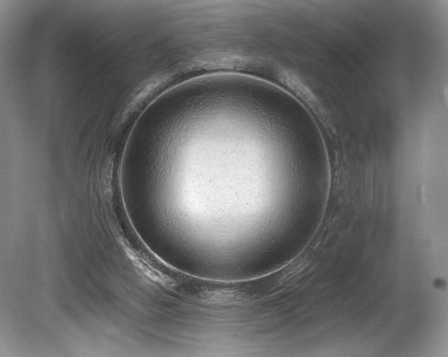 X0000080190058200612081438
