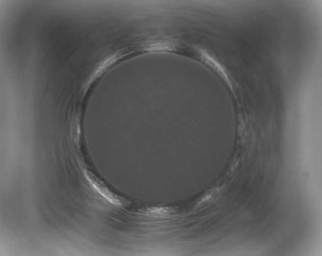 X0000080190059200612081438