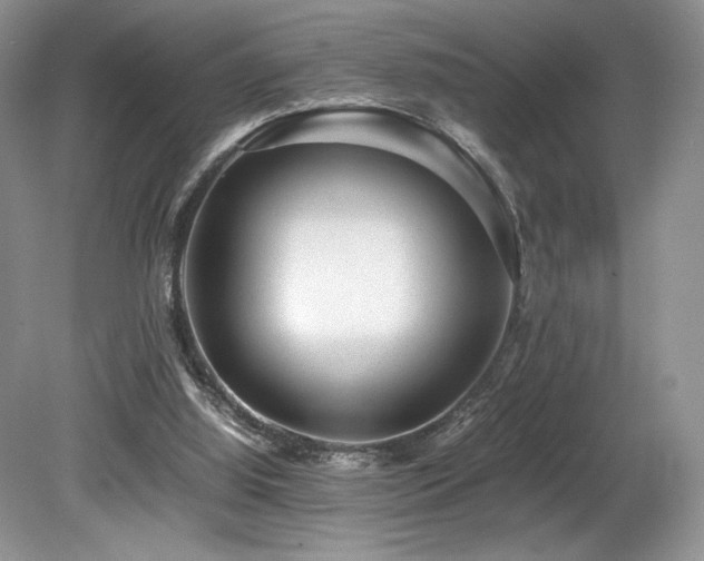 X0000080190060200612081438