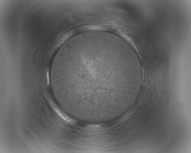 X0000080190061200612081438