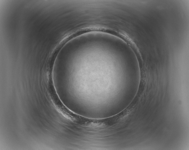 X0000080190063200612081438