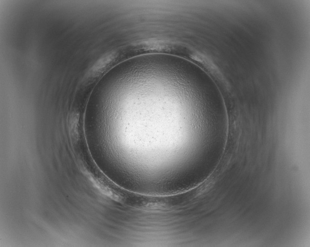X0000080190066200612081438