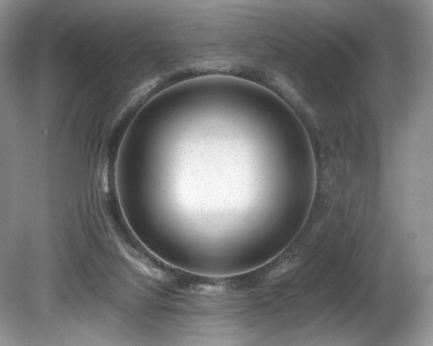 X0000080190068200612081438