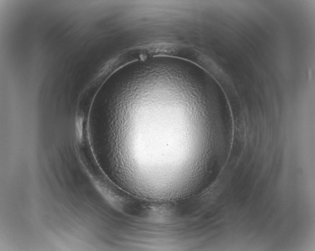 X0000080190070200612081438