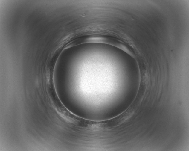 X0000080190072200612081438