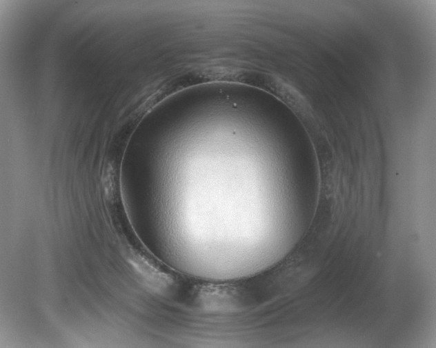 X0000080190077200612081438