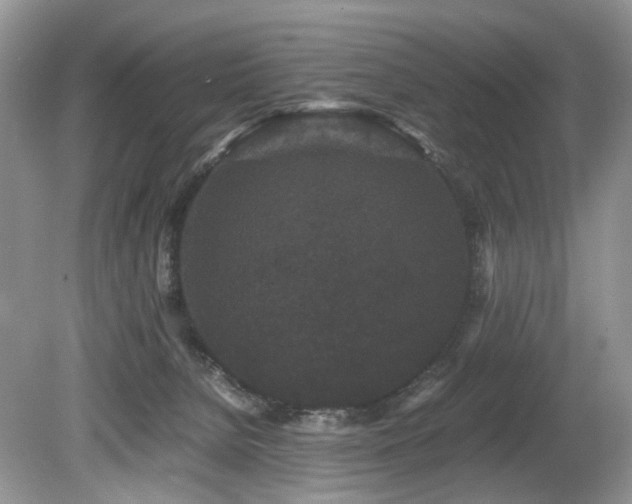 X0000080190080200612081438