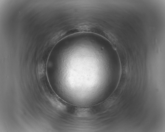 X0000080190081200612081438